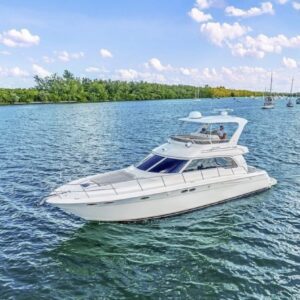 Sea Ray Sedan Bridge! ️