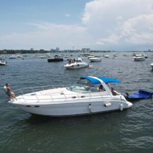 Sea Ray 42′