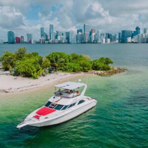 Sea Ray Express Bridge 50′